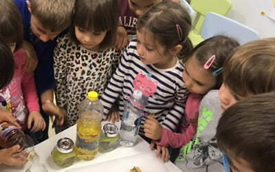 Studiul mărului în limba germană