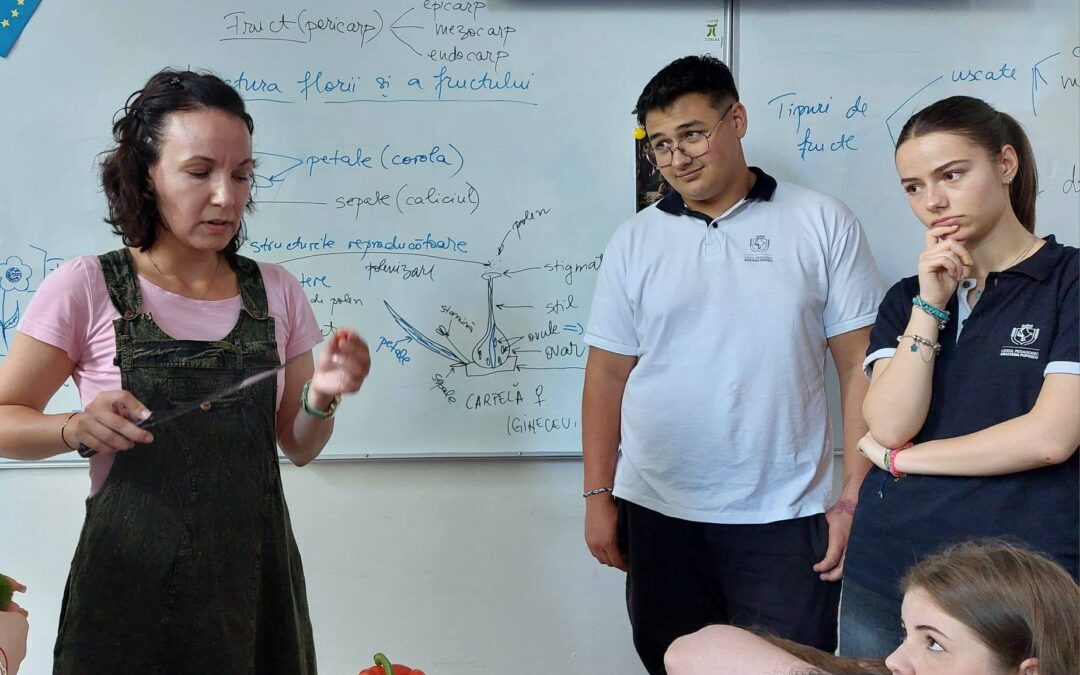 Azi, la ora de Științe elevii clasei a XI-a au rezolvat, o dată pentru totdeauna, eterna enigmă a roșiei: este fruct ori legumă?