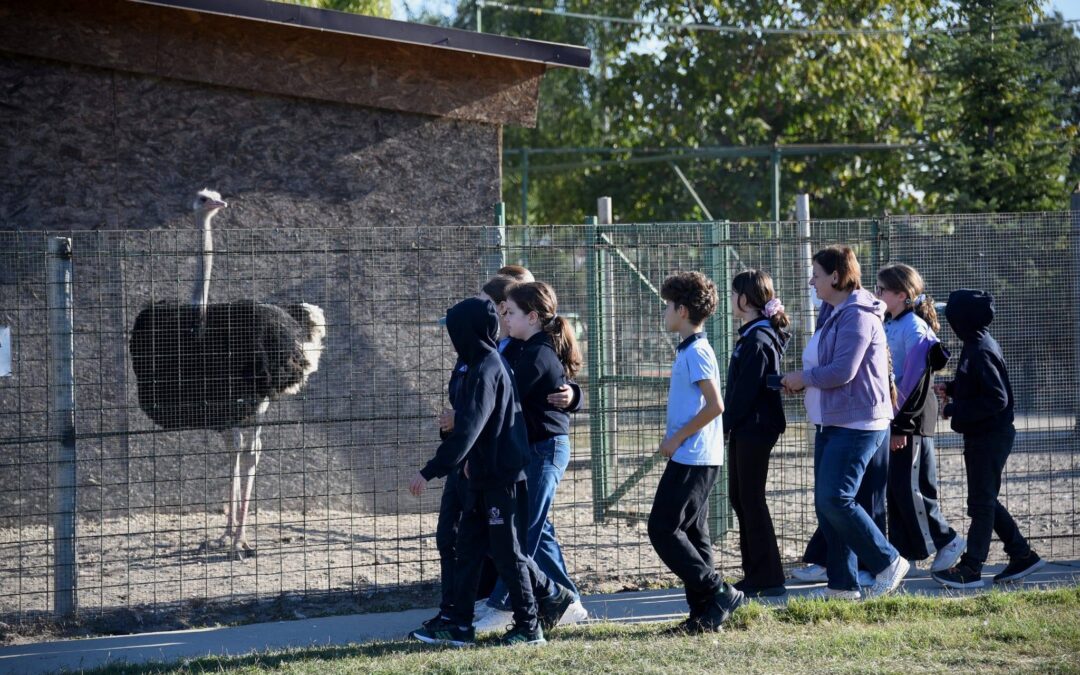 Încă mai trăim ecouri ale Zilei de 5 octombrie, când am sărbătorit Ziua Mondială a Educației. Așa că am zis să le împărtășim cu voi, în această zi de mare sărbătoare, cea a Sf. Cuv. Parascheva, ca să sporim și mai mult bucuria zilei de azi.