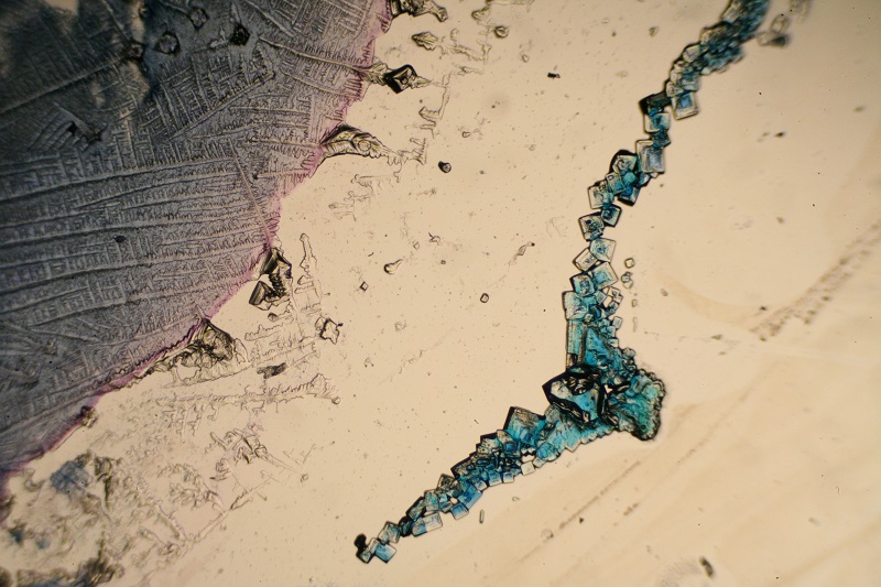 Această imagine are atributul alt gol; numele fișierului este Microscopie-ludica-6.jpg