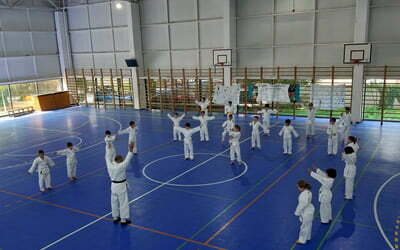 Examen la cursul opțional de karate
