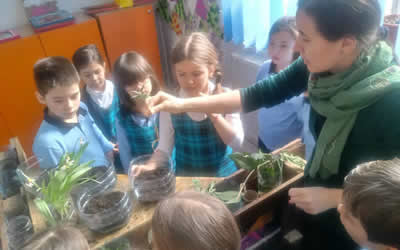 Minigrădina etajată, o oază de bucurie
